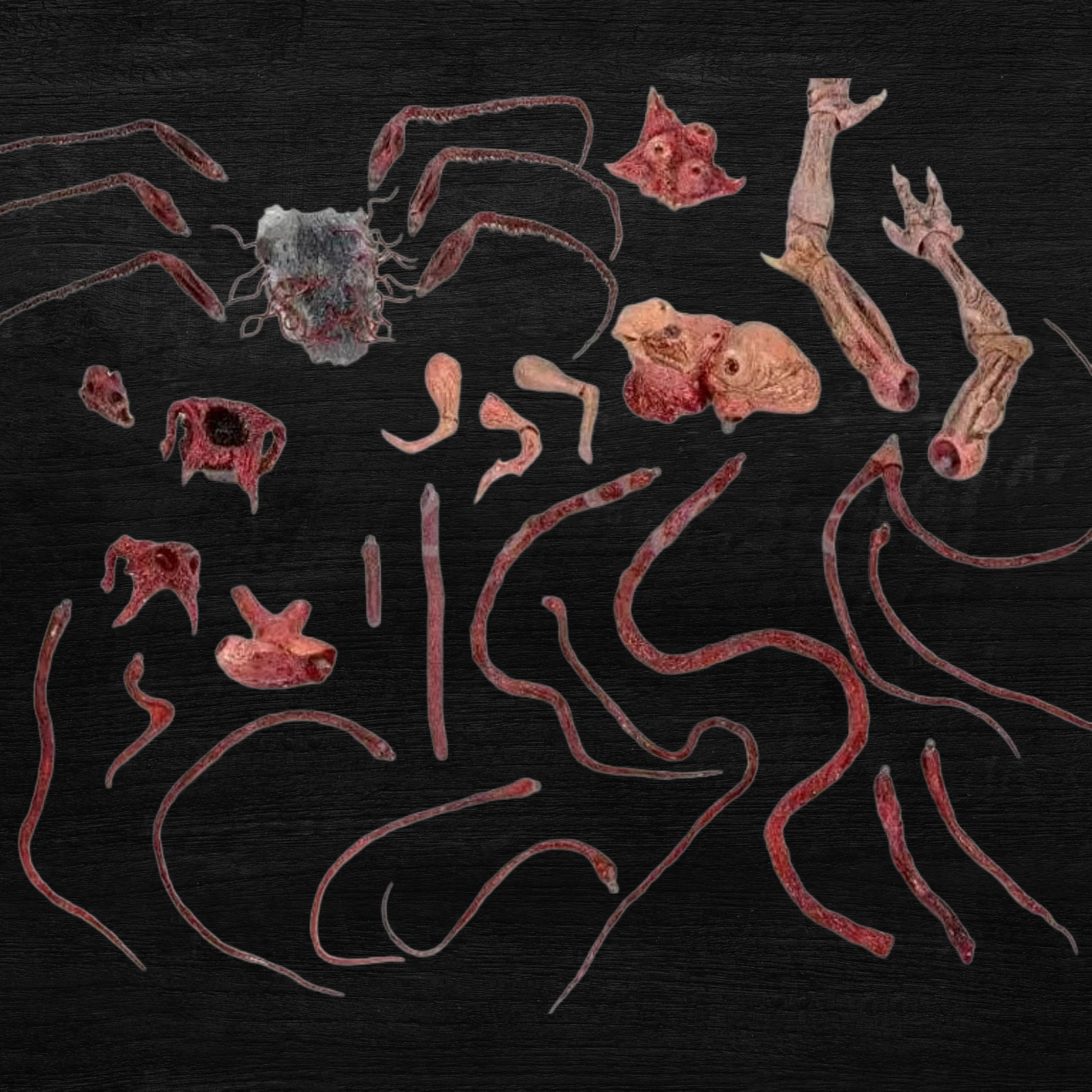 Artistic depiction of anatomical elements on a dark background