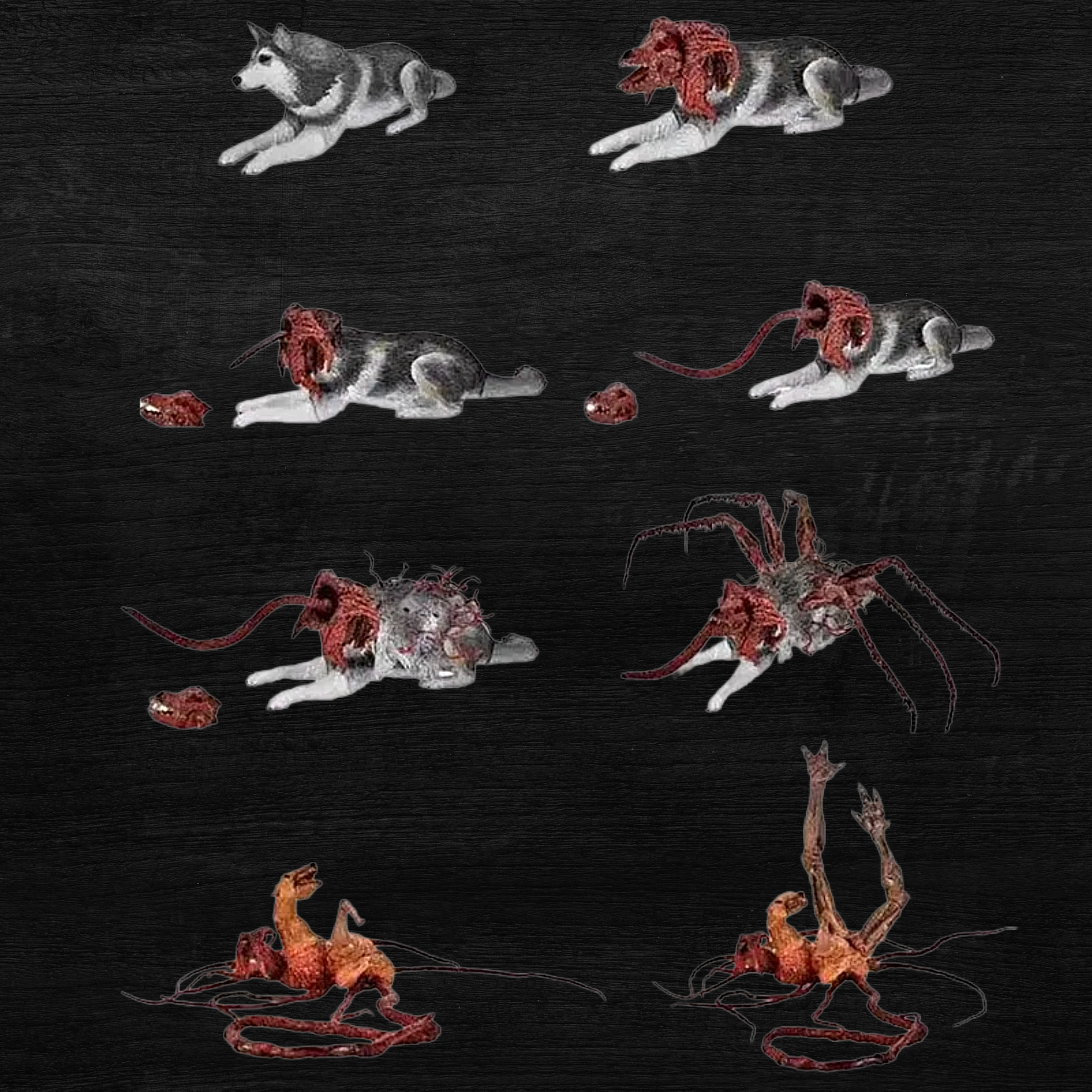 Artistic depiction of a dog transforming into a spider-like creature on a black background
