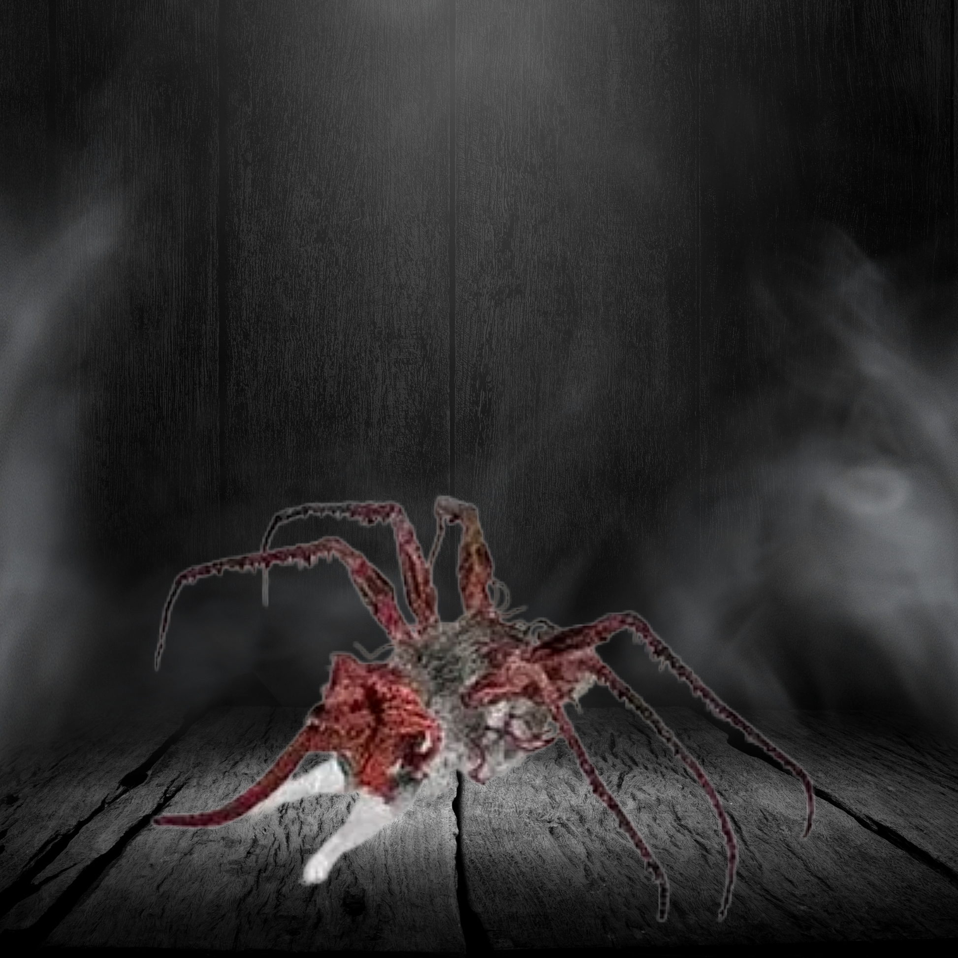 Spooky spider on a wooden surface with a dark, smoky background
