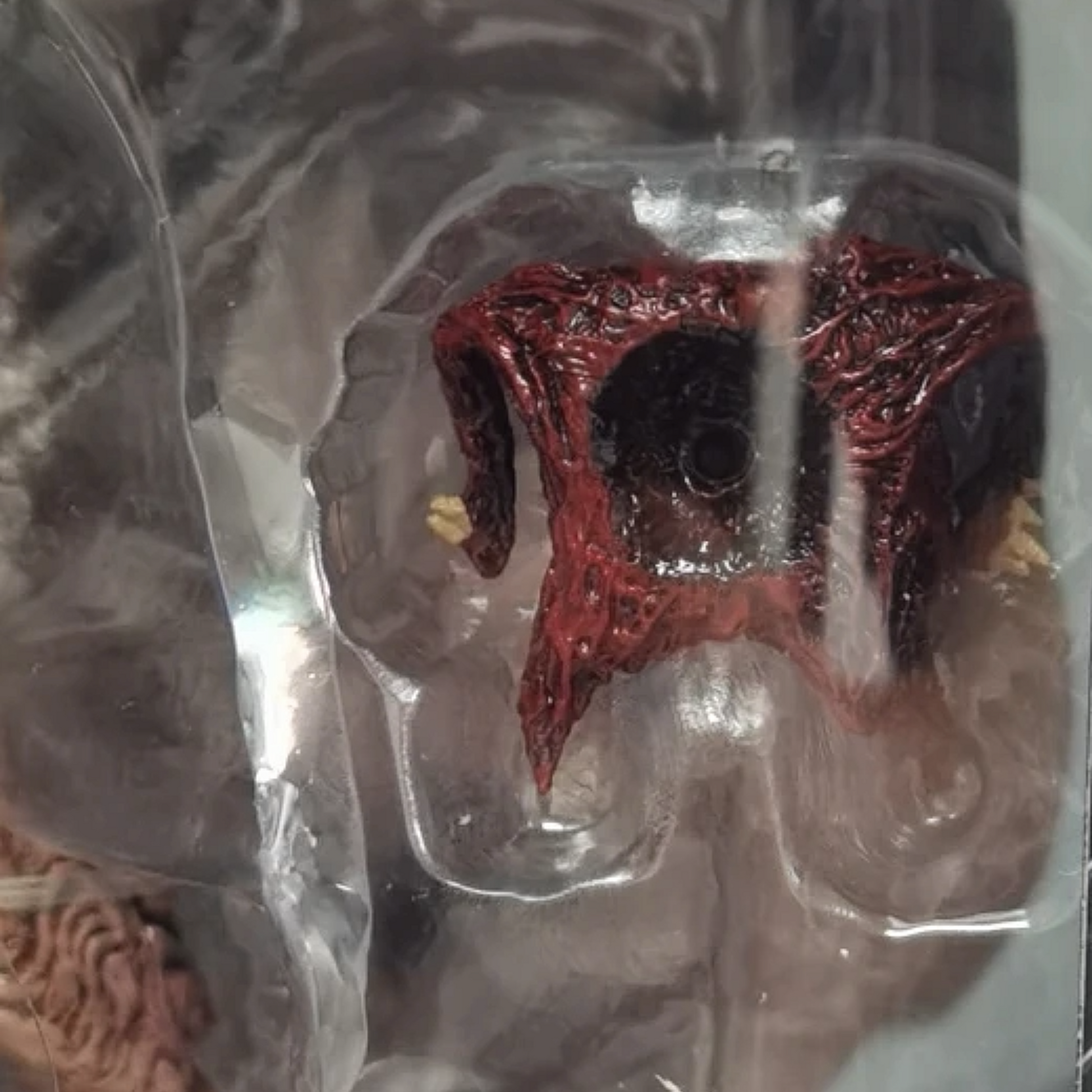 Red and black decorative item in clear packaging on a textured surface